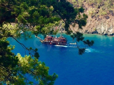 Çamyuva